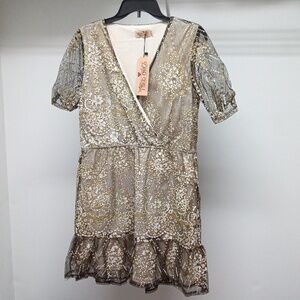 Southern fried chics dress